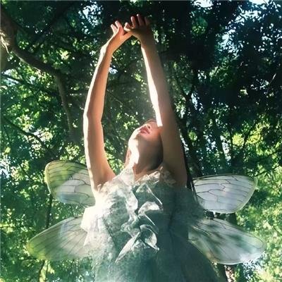 杰索拉·加尼美·卡美巴 决战！南海大怪兽